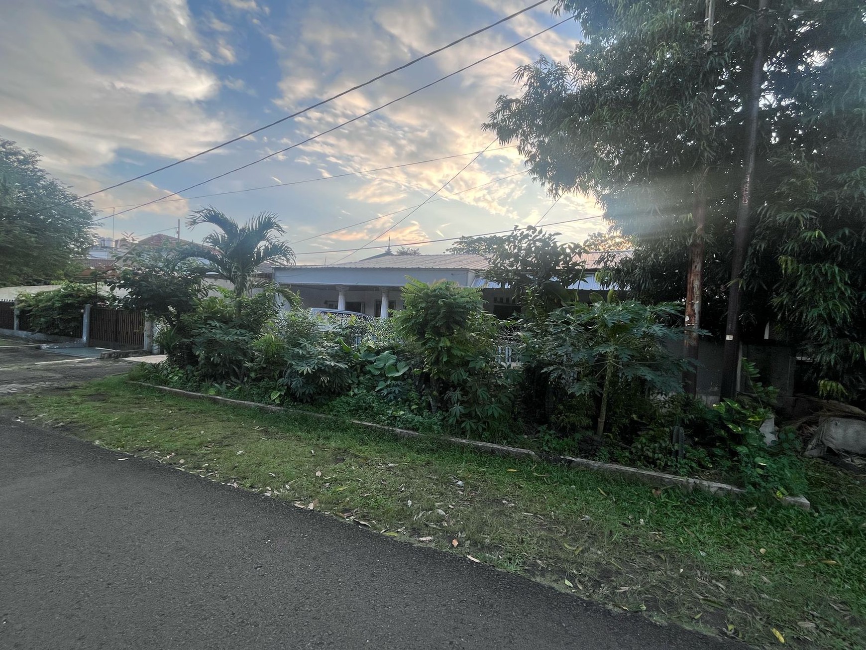 Rumah Asri Hijau, Udara Sejuk Segar, Tenang, Tidak berisik, di Cipayung Jakarta Timur.