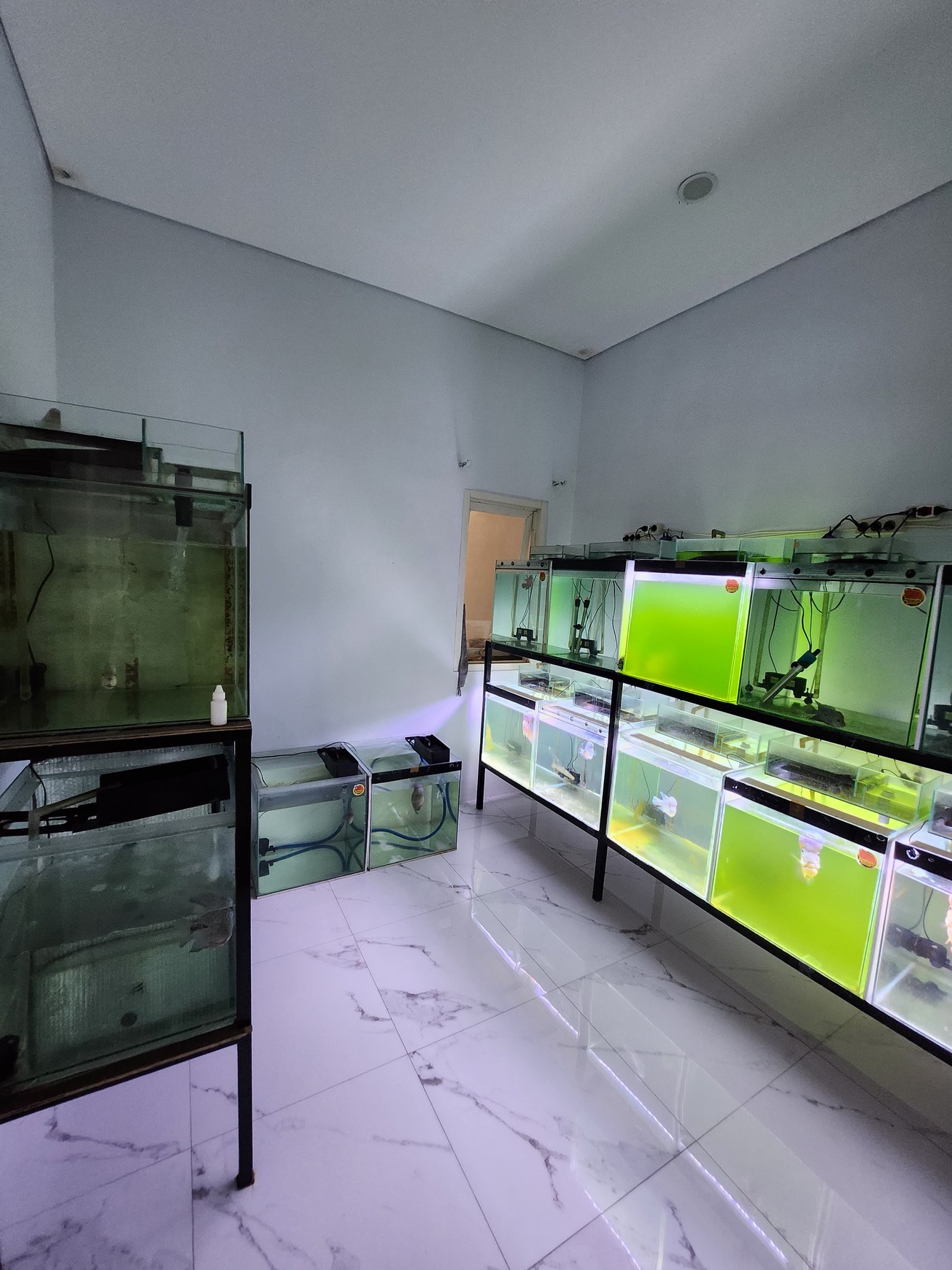 Murah 1 M-an Dijual Rumah Taman Wisata Regency - Modern One Gate Sistem  Dekat Greenlake Citraland, Wisata.bukit Mas, Raya Wiyung, Pakuwon Mall Surabaya