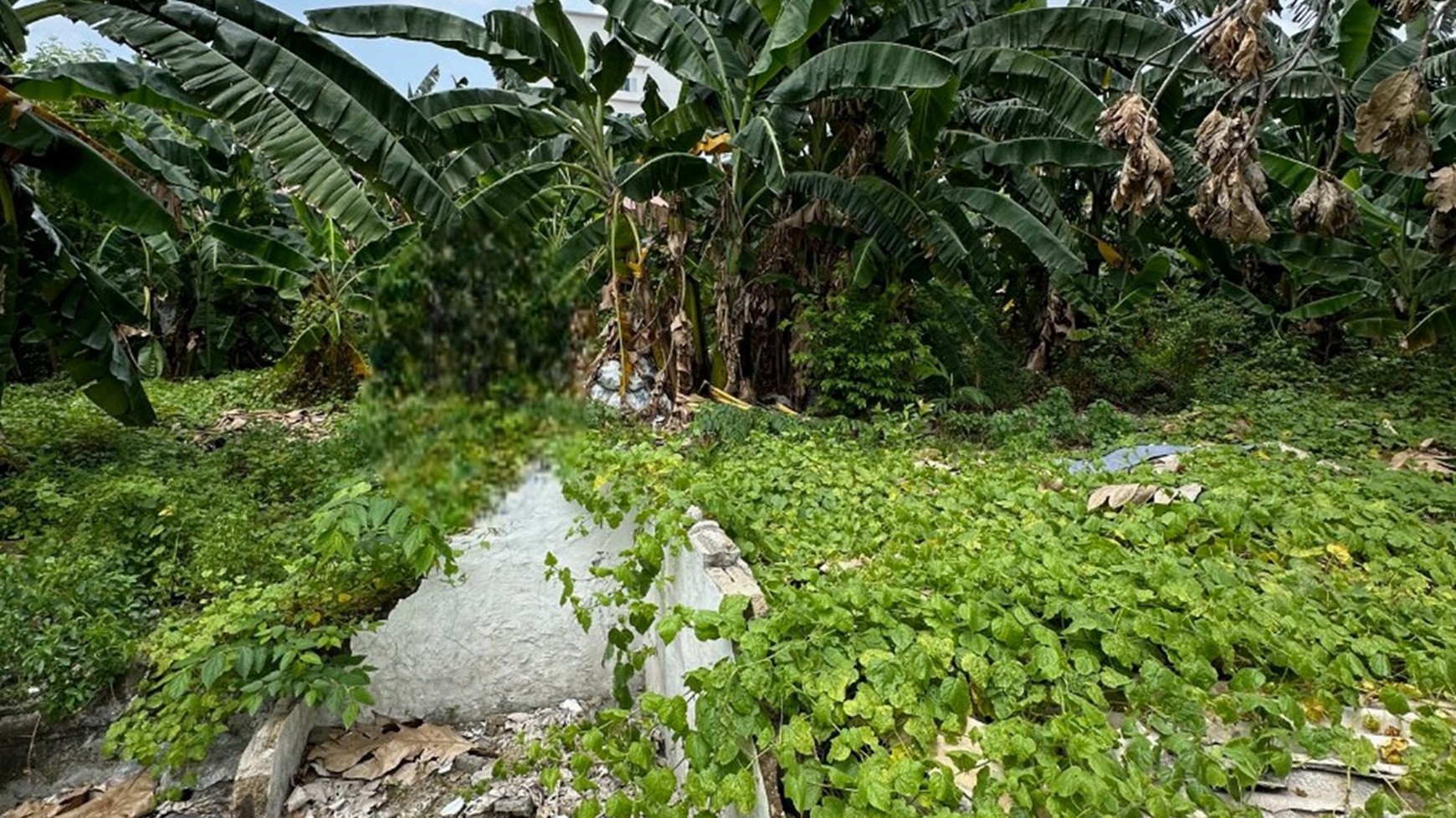 Tanah di Rawamangun cocok untuk mini cluster