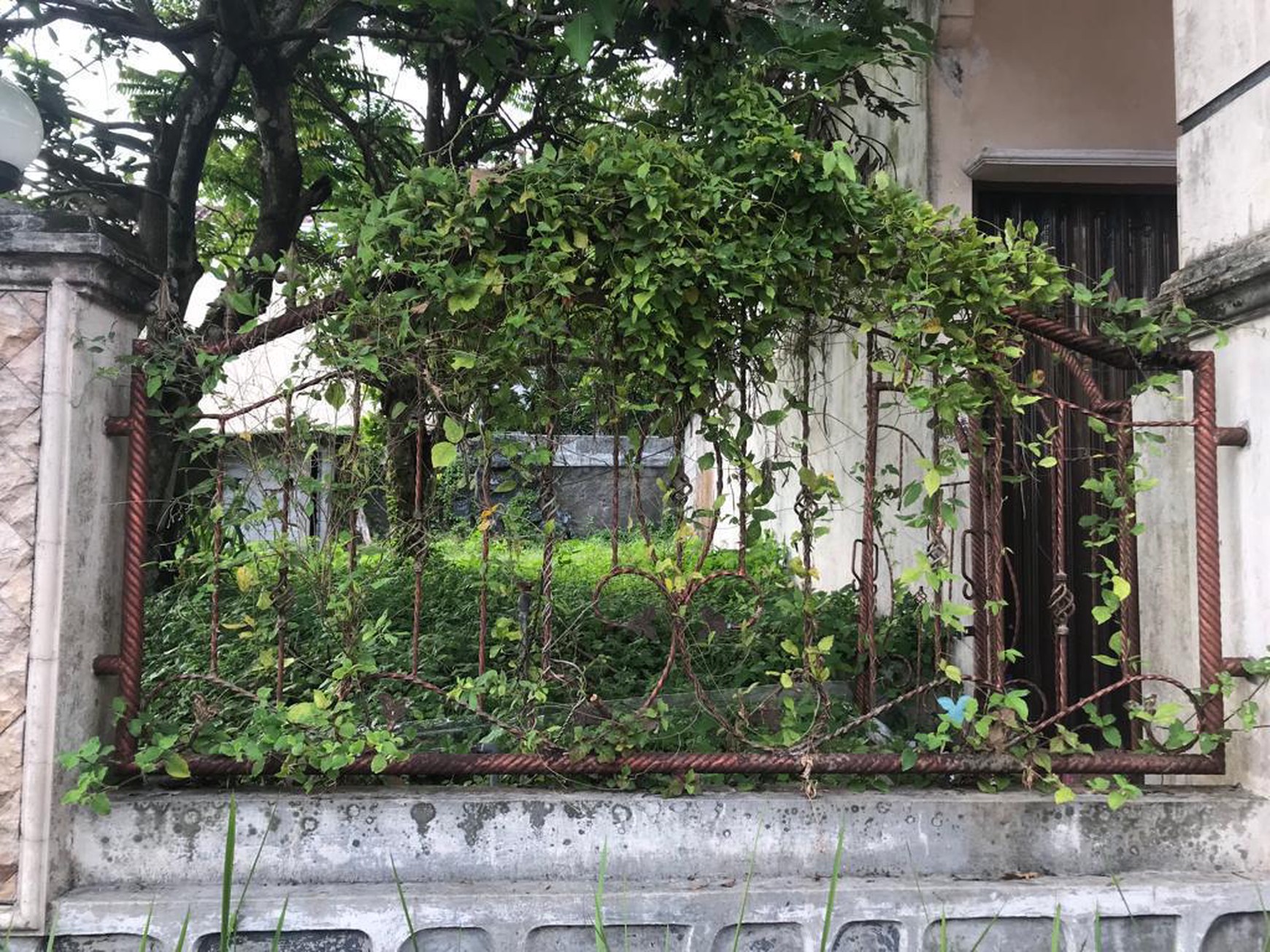 Tanah Luas 297 Meter Persegi Lokasi Strategis Dekat Kampus UII 