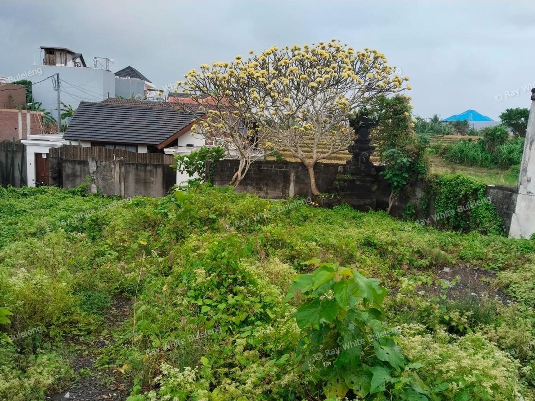 Land with Rice Field View in Mengwi, Badung - Great Investment 