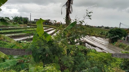 Land with Rice Field View in Mengwi, Badung - Great Investment 