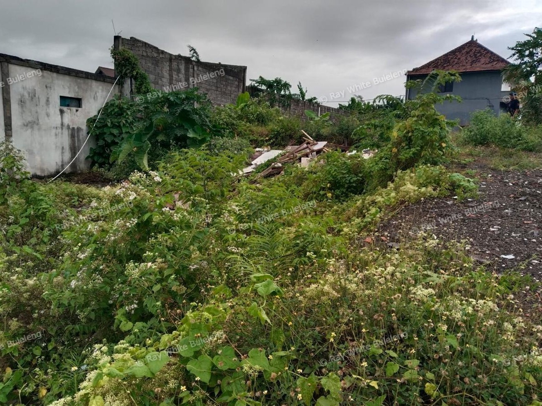 Land with Rice Field View in Mengwi, Badung - Great Investment 