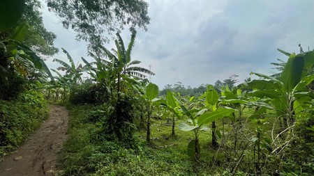 DIJUAL TANAH UNTUK PERUMAHAN DI CIOMAS PERMAI, BOGOR