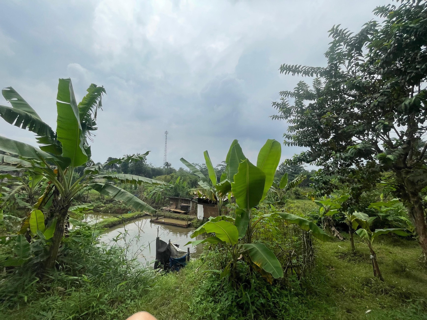 DIJUAL TANAH UNTUK PERUMAHAN DI CIOMAS PERMAI, BOGOR