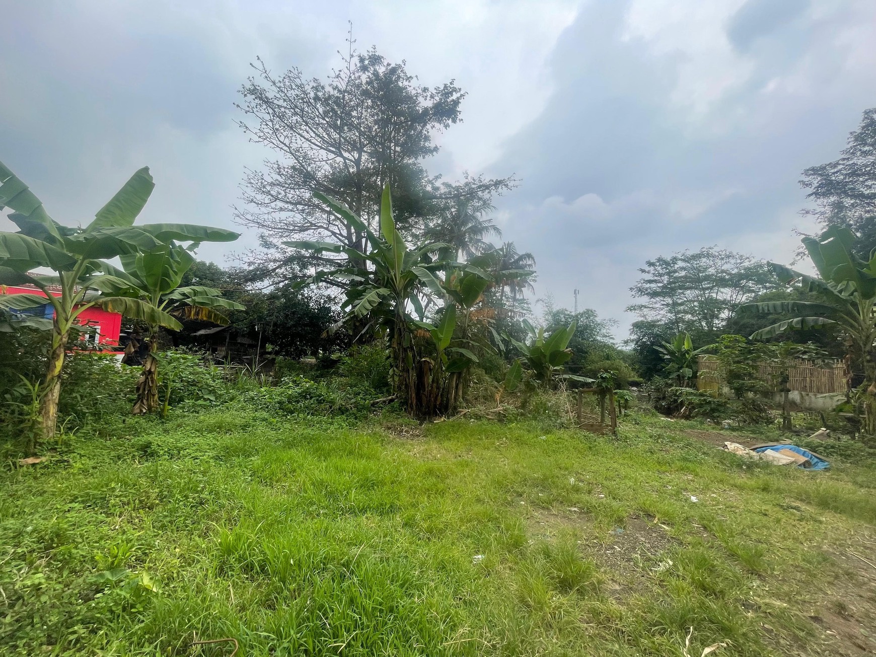 DIJUAL TANAH UNTUK PERUMAHAN DI CIOMAS PERMAI, BOGOR
