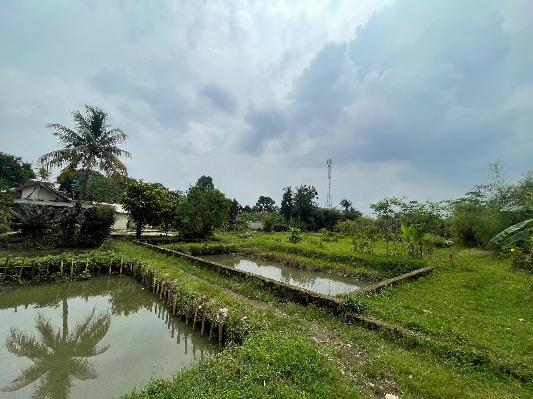 DIJUAL TANAH UNTUK PERUMAHAN DI CIOMAS PERMAI, BOGOR