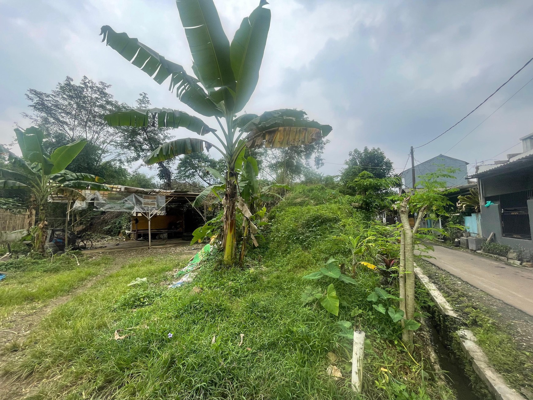 DIJUAL TANAH UNTUK PERUMAHAN DI CIOMAS PERMAI, BOGOR