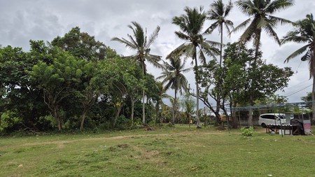 For Sale A Plot of Land Just 30 Meters from the Beach, Located in Antap, Soka, Tabanan, Bali