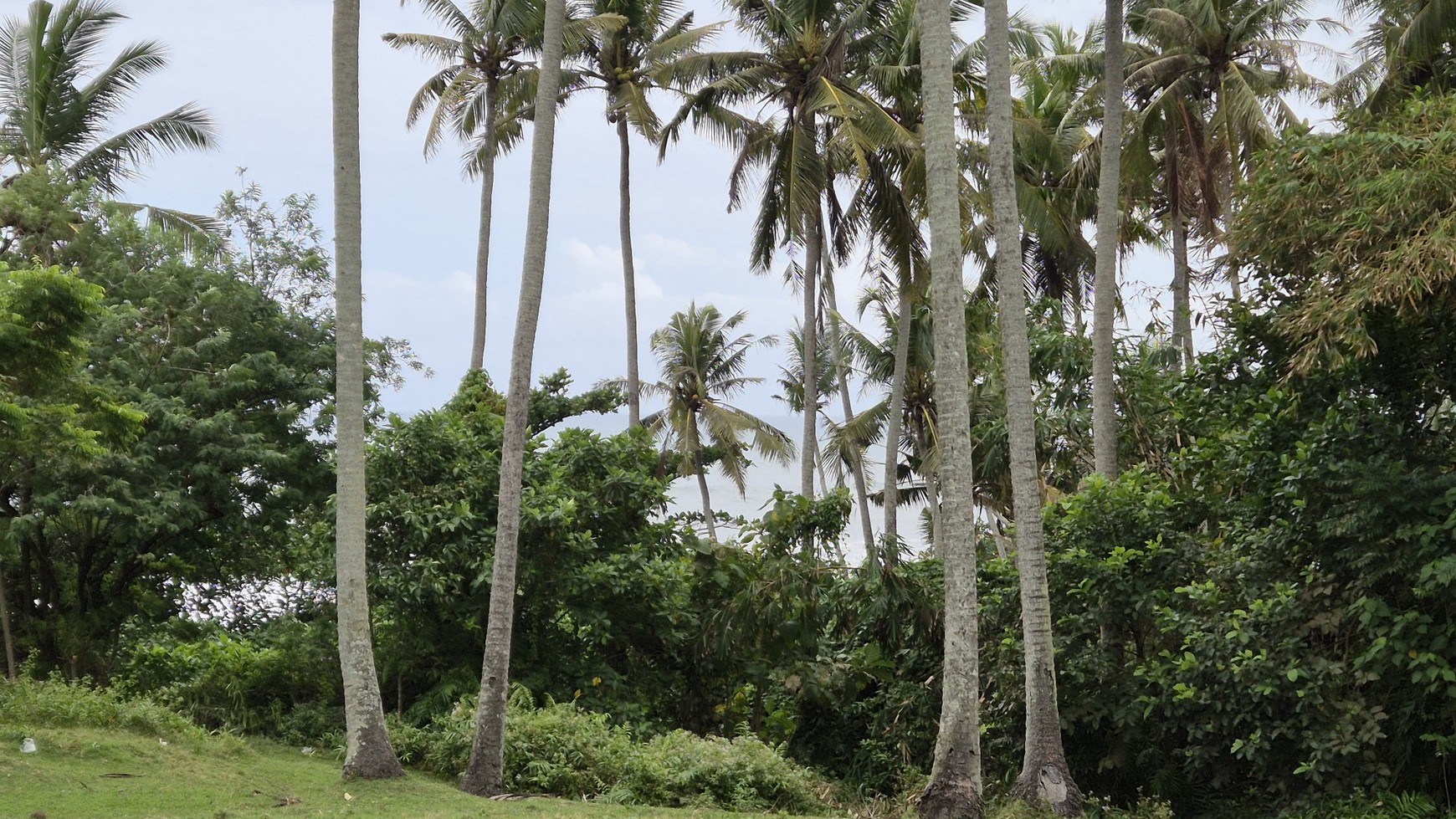 For Sale A Plot of Land Just 30 Meters from the Beach, Located in Antap, Soka, Tabanan, Bali