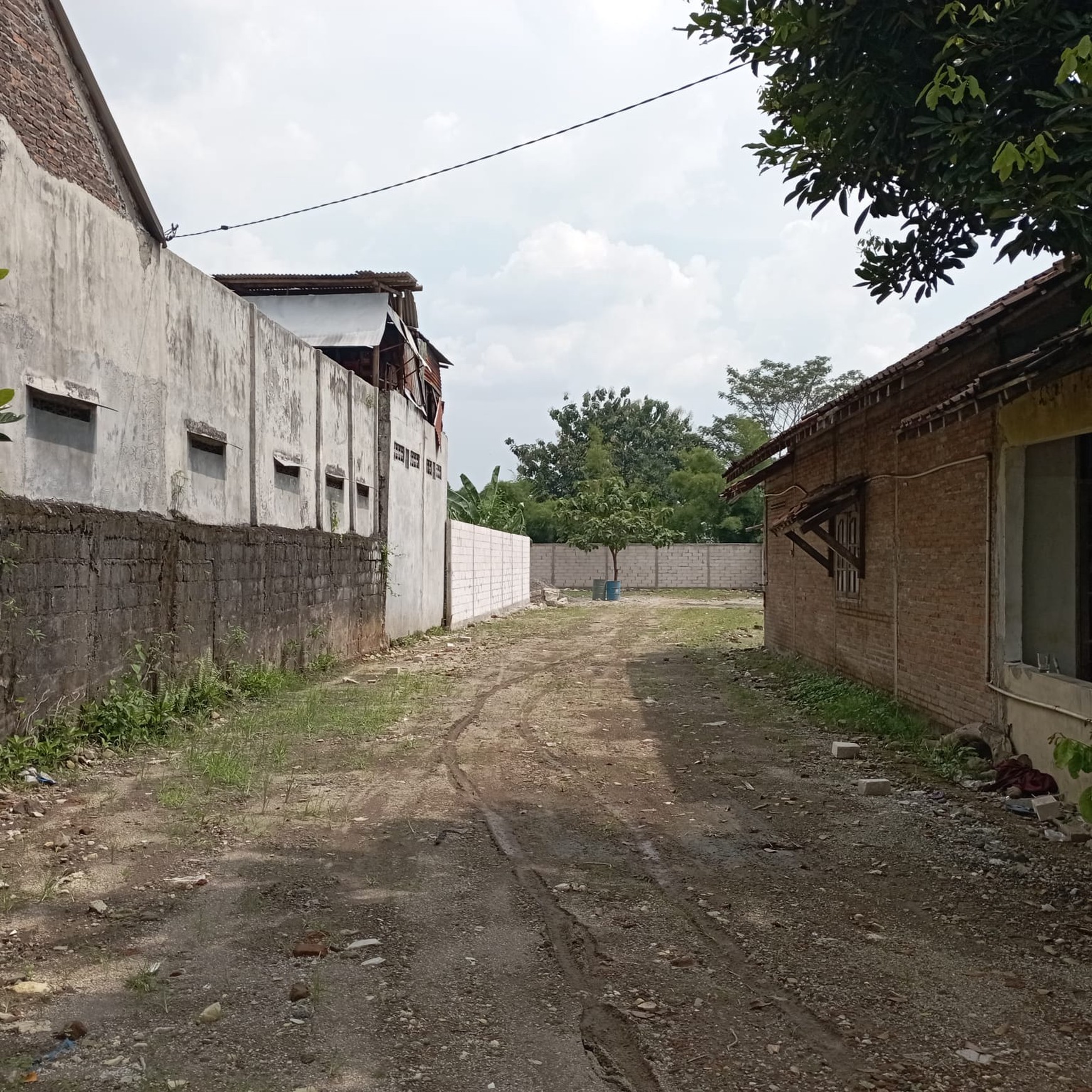 TANAH 1240 METER BONUS BANGUNAN DI RINGROAD SELATAN, UMBULHARJO, YOGYAKARTA