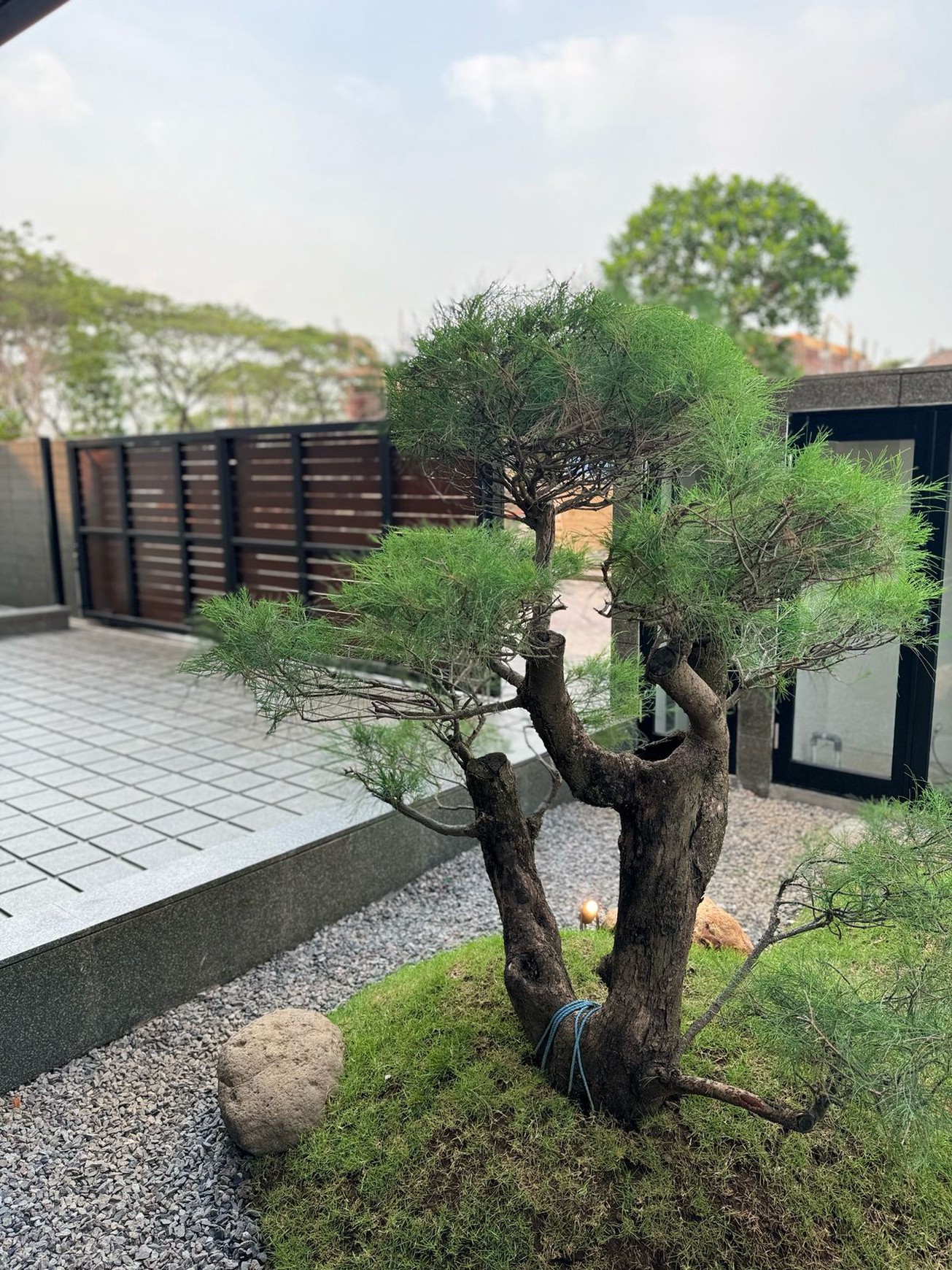Dijual Rumah Mewah 300m2 di Bukit Golf Internasional Citraland Surabaya Barat Marmer Import