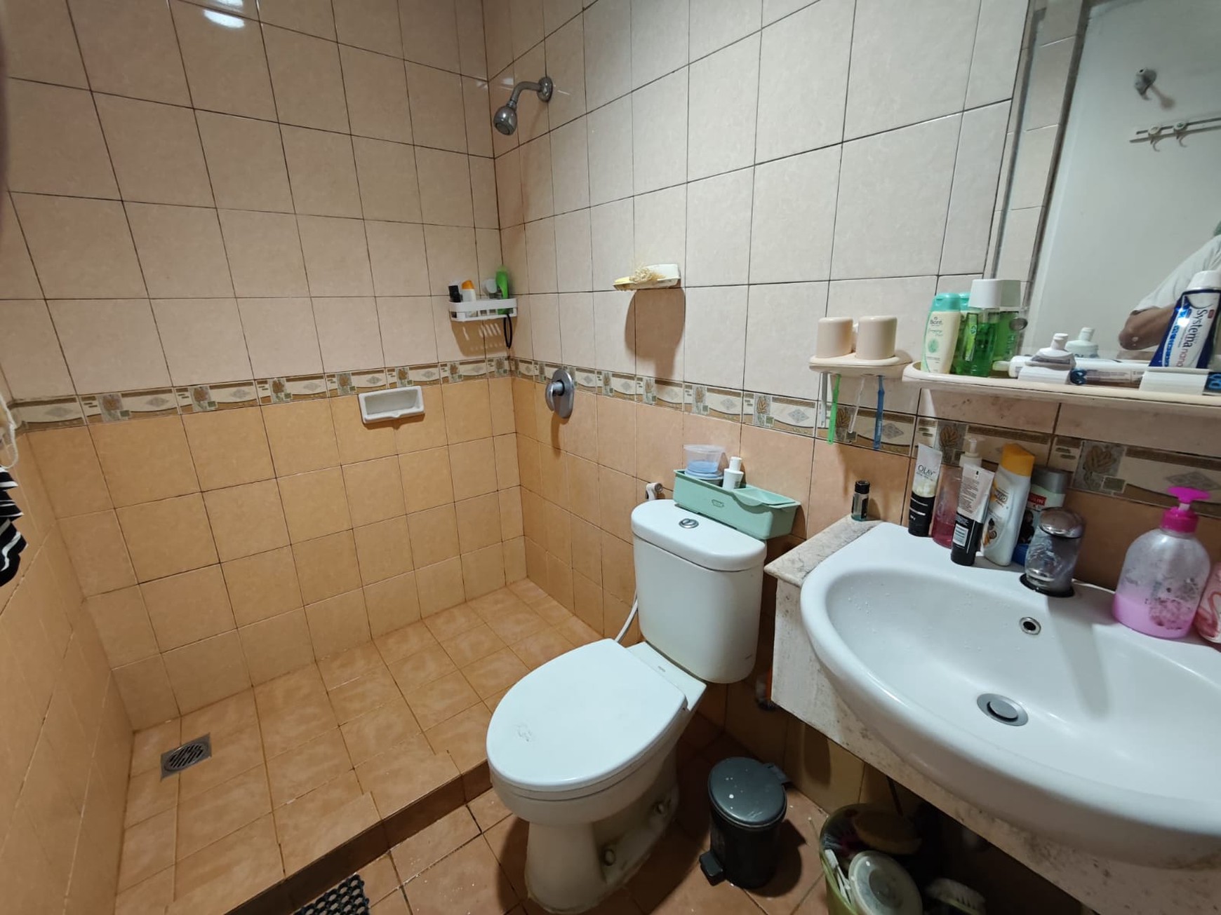 Apartemen French Walk Twr Loudes Garden, Kelapa Gading