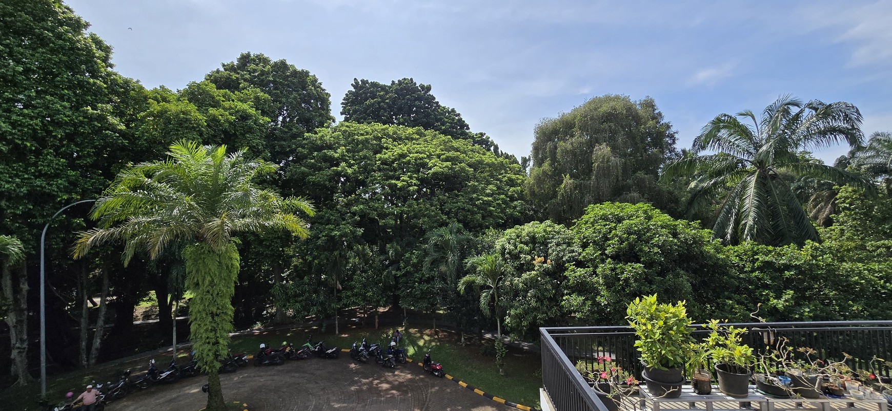 Spesial Rumah depan LITTLE FOREST jogging track di Puspita Loka BSD City