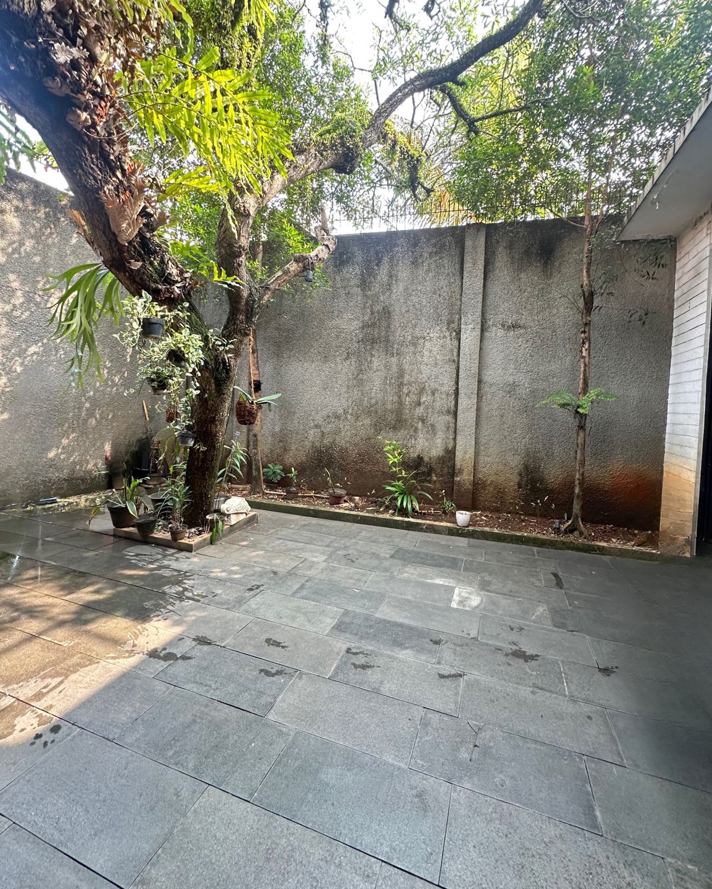  Rumah Modern Minimalis  dalam Cluster di Bintaro Jaya Sektor 9
