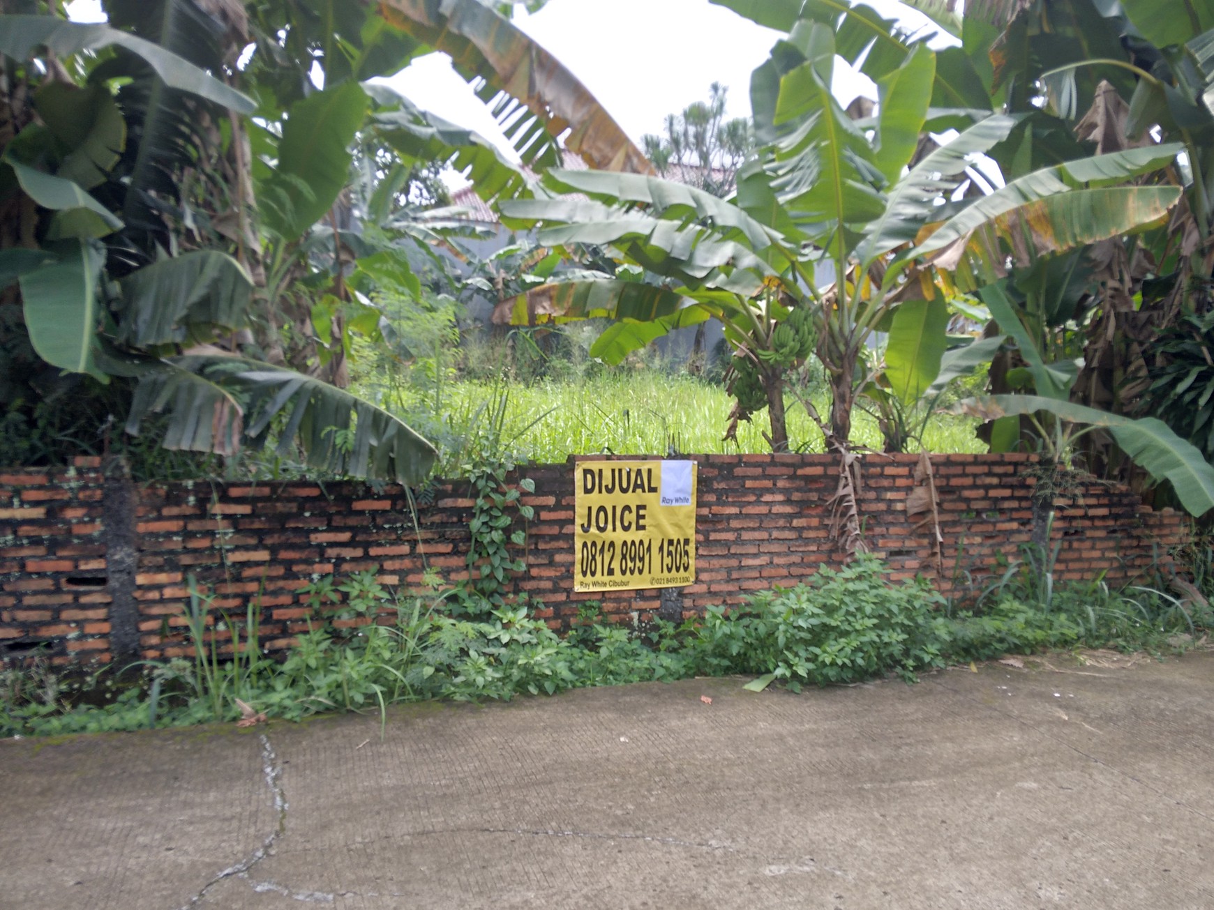 TANAH KAVLING  200 METER KE SETASIUN LRT HARJAMUKTI DAN DEKAT KE TOLL CIBUBUR HARGA NEGO