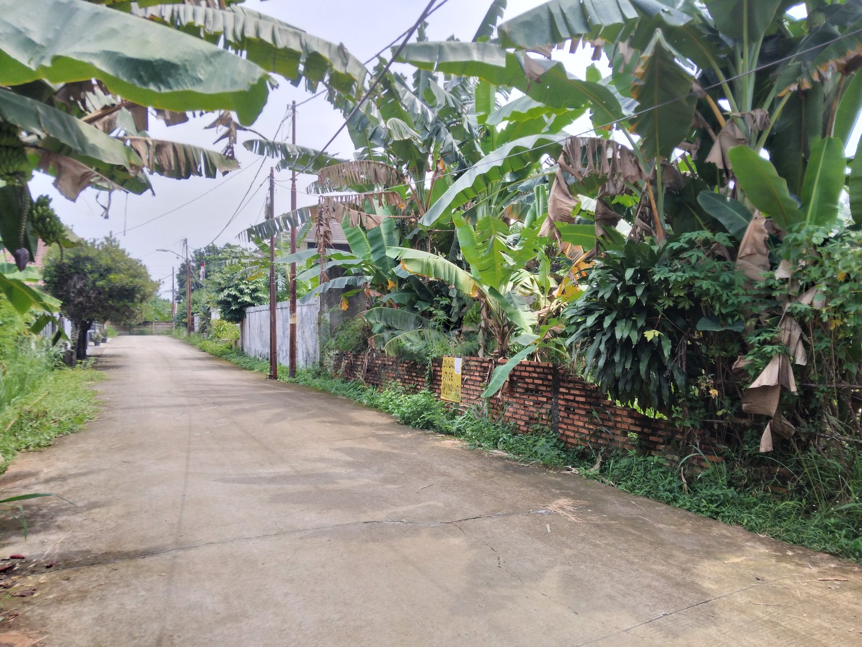 TANAH KAVLING  200 METER KE SETASIUN LRT HARJAMUKTI DAN DEKAT KE TOLL CIBUBUR HARGA NEGO