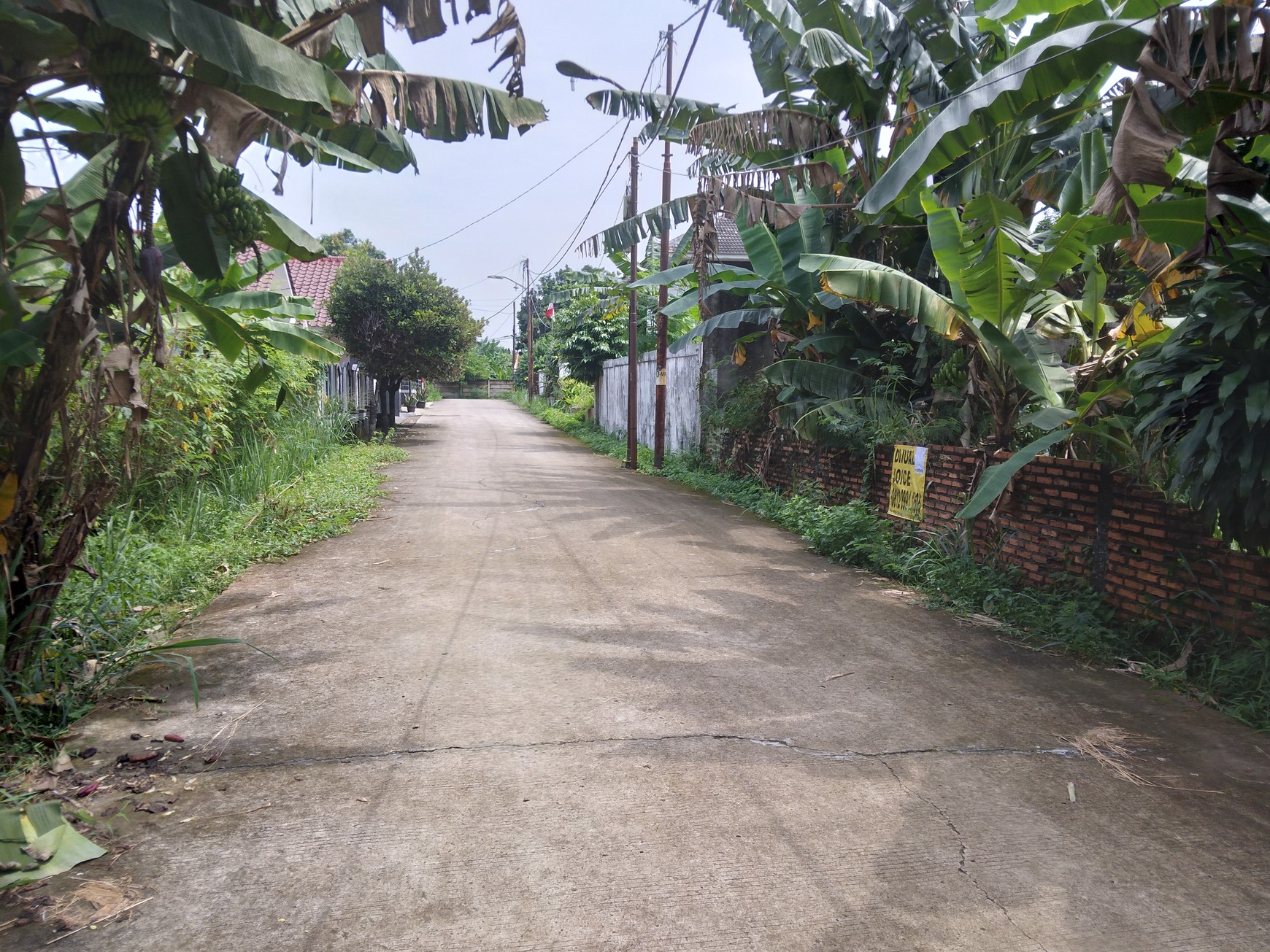 TANAH KAVLING  200 METER KE SETASIUN LRT HARJAMUKTI DAN DEKAT KE TOLL CIBUBUR HARGA NEGO