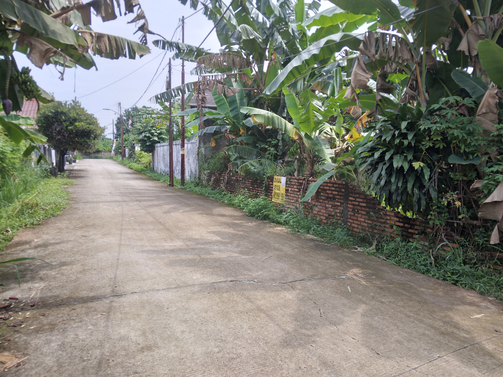 TANAH KAVLING  200 METER KE SETASIUN LRT HARJAMUKTI DAN DEKAT KE TOLL CIBUBUR HARGA NEGO