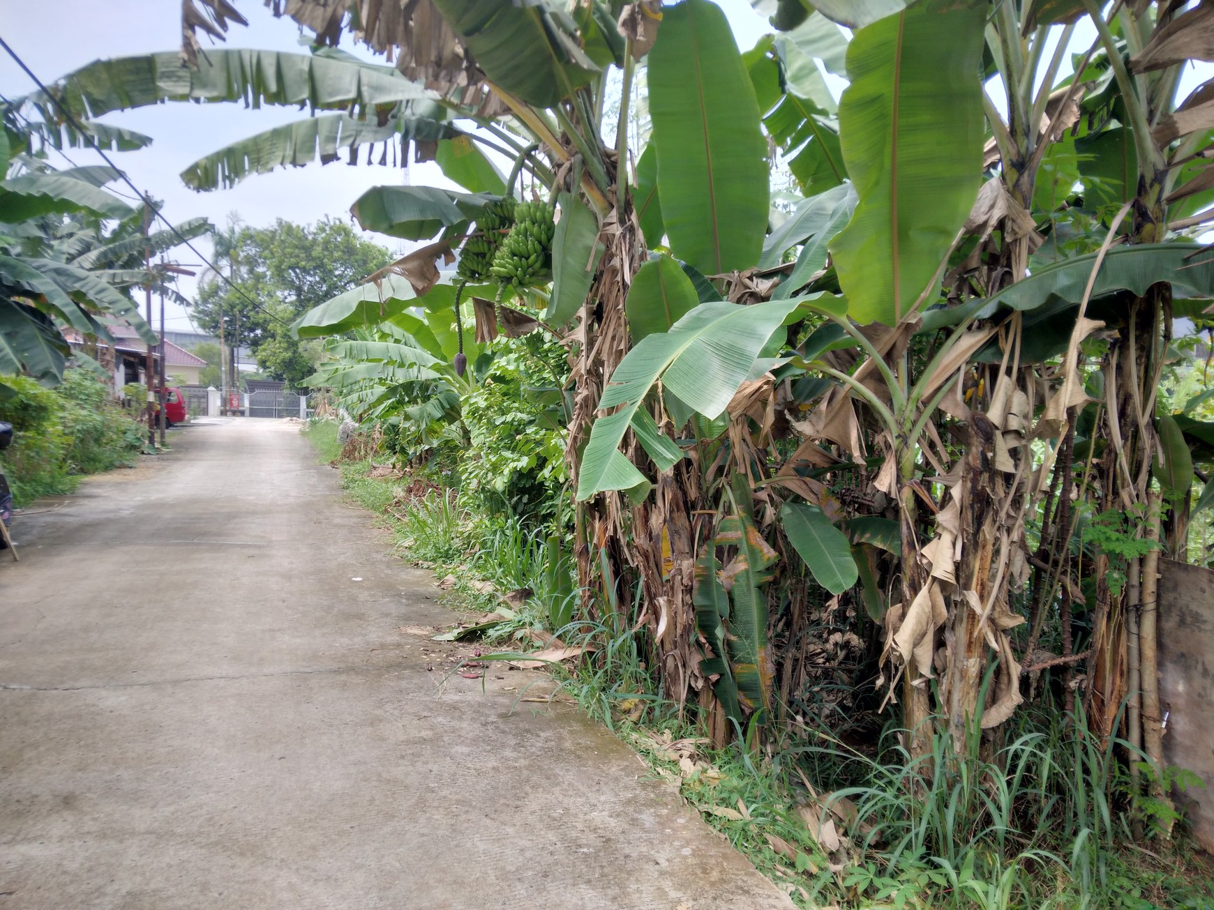 TANAH KAVLING  200 METER KE SETASIUN LRT HARJAMUKTI DAN DEKAT KE TOLL CIBUBUR HARGA NEGO