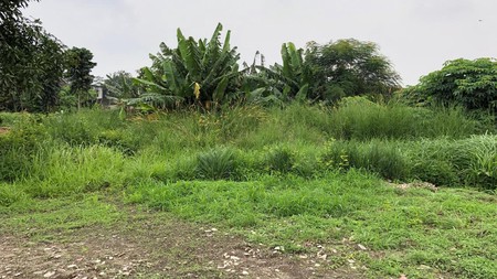 SUPER RARE LAND DEAL - SERPONG TANGERANG
