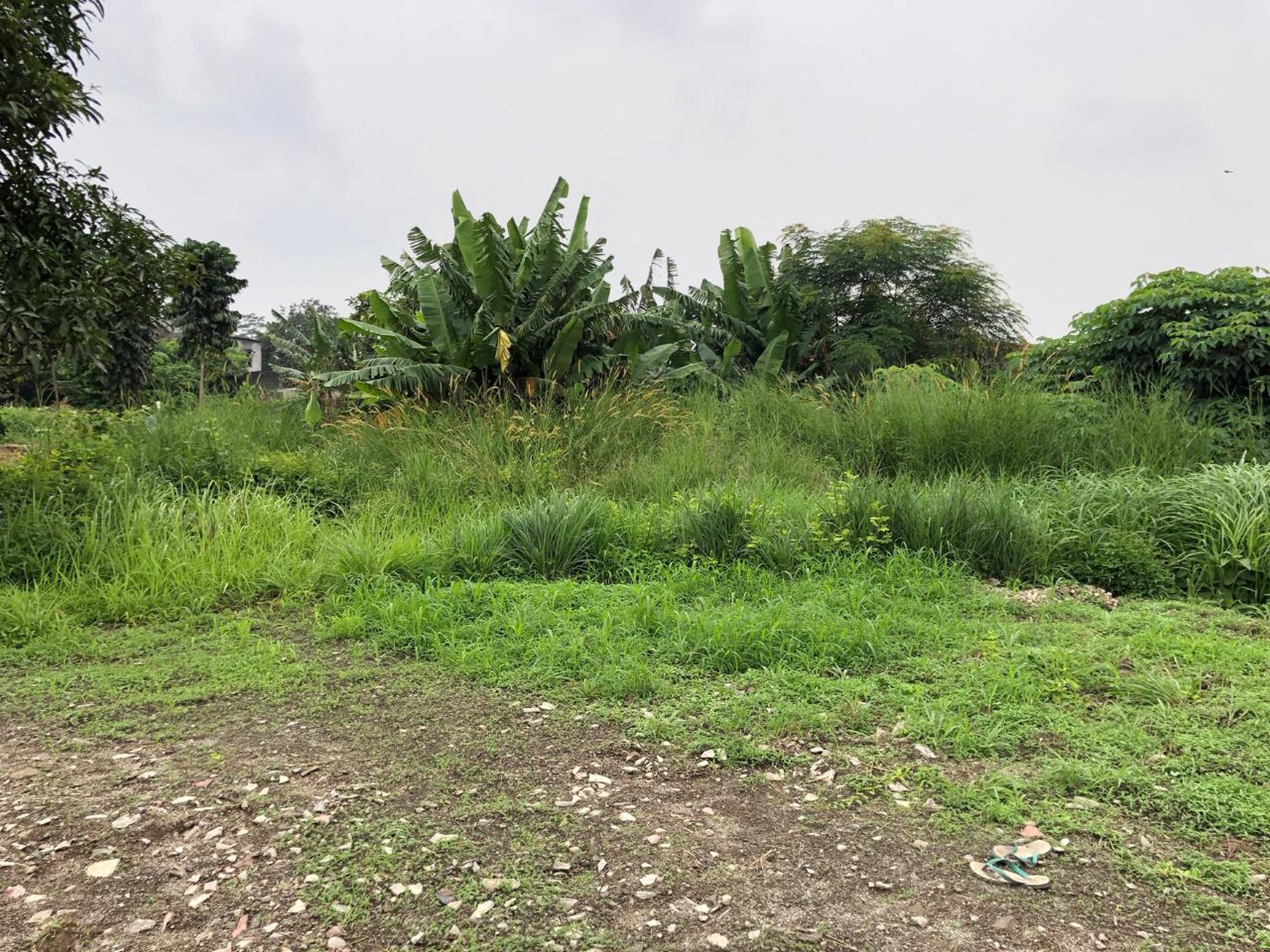 SUPER RARE LAND DEAL - SERPONG TANGERANG