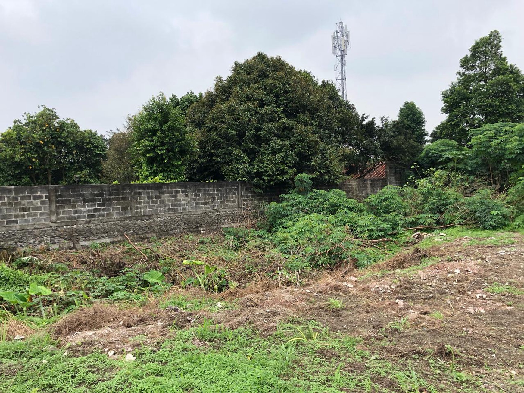 SUPER RARE LAND DEAL - SERPONG TANGERANG