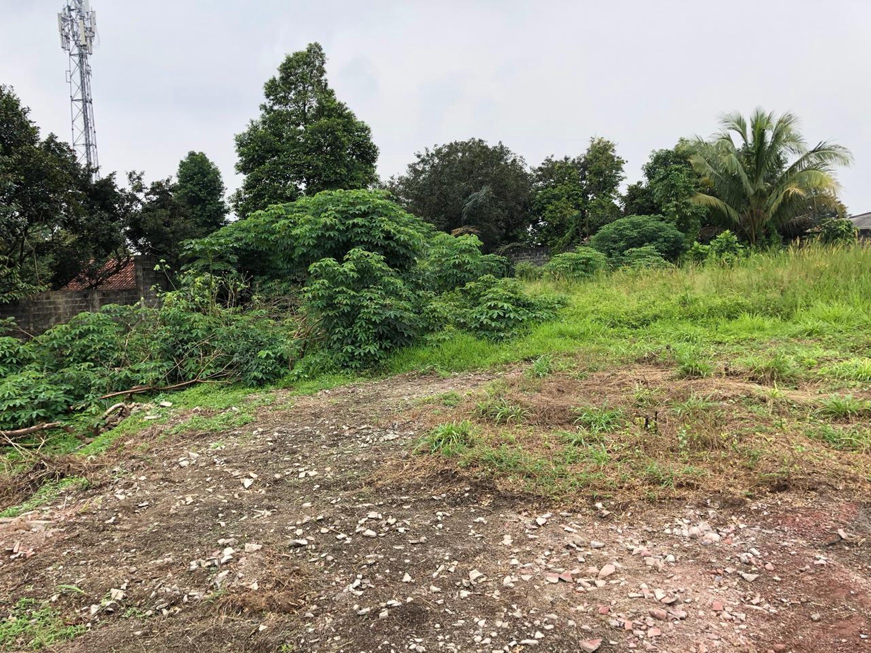 SUPER RARE LAND DEAL - SERPONG TANGERANG
