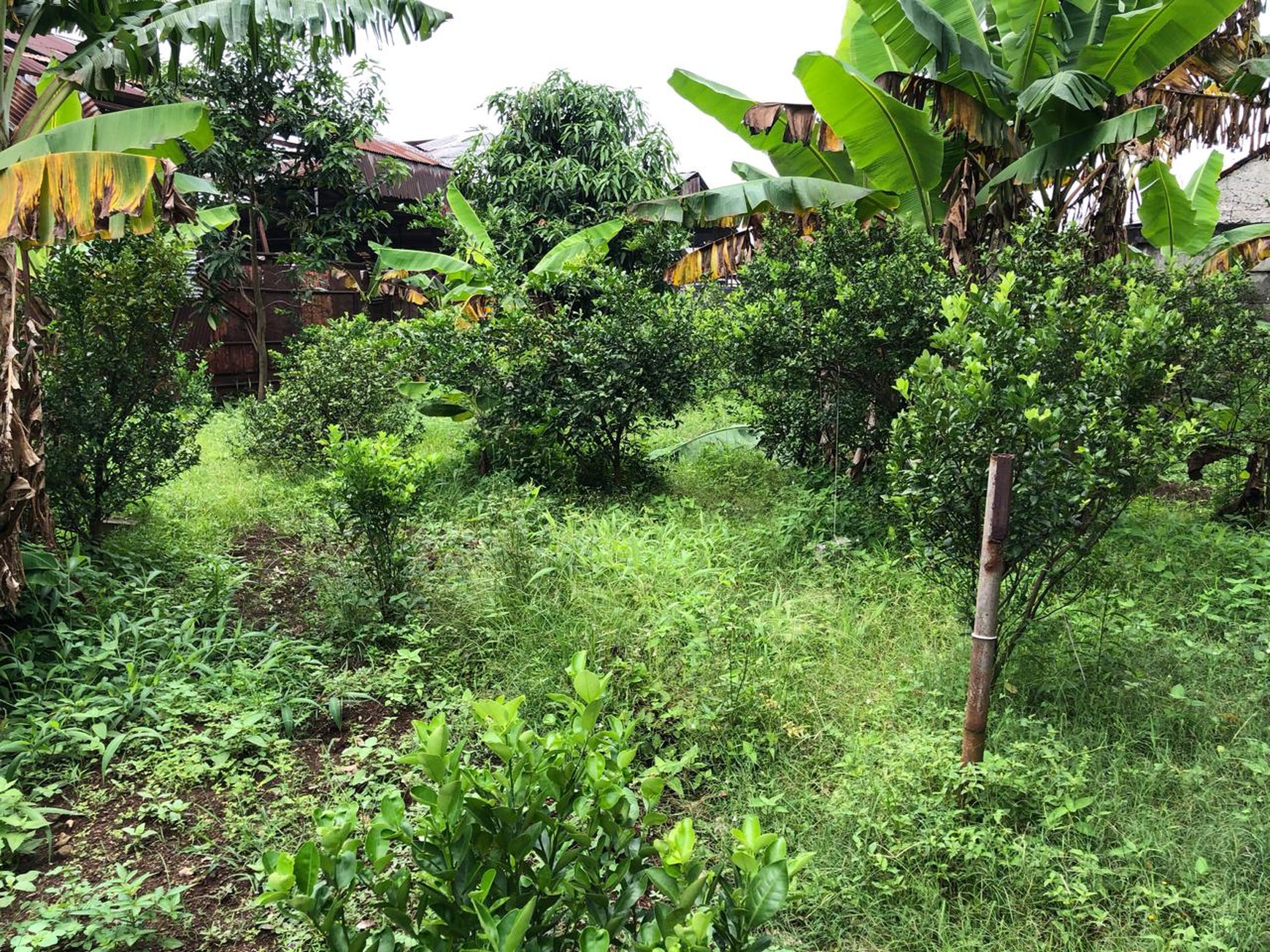 SUPER RARE LAND DEAL - SERPONG TANGERANG