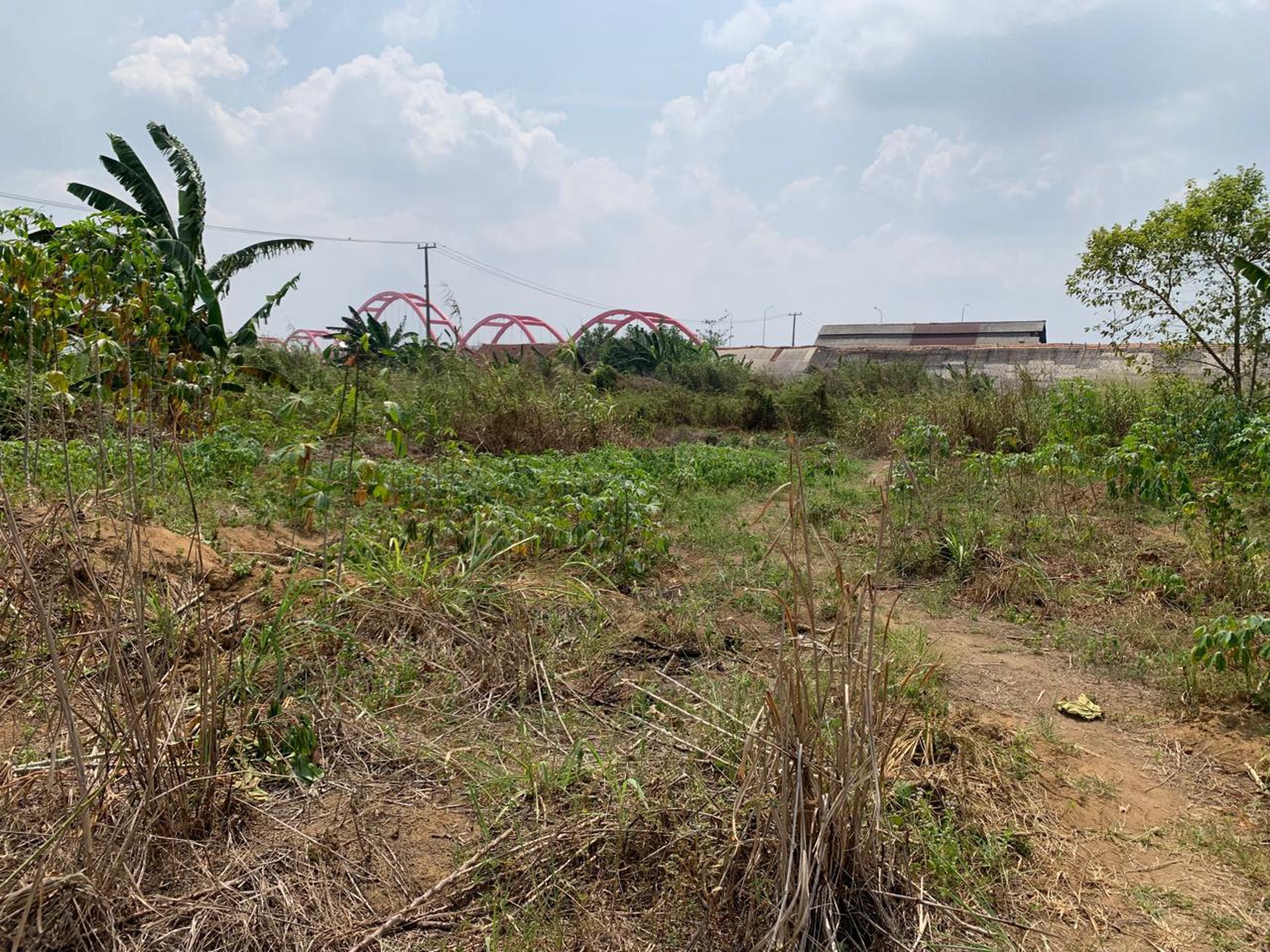 Sewa Tanah 4ha dekat Jembatan Musi2