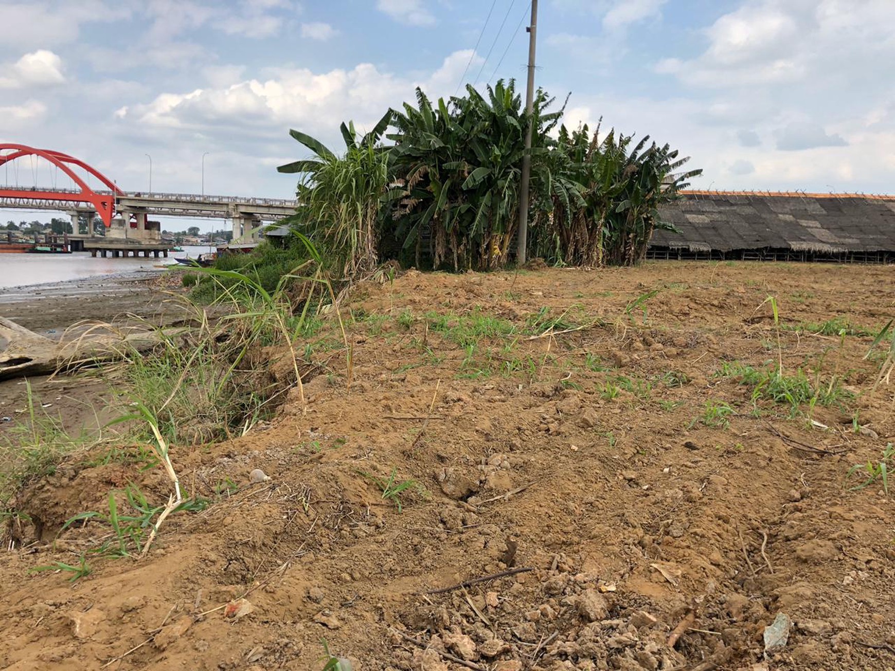 Sewa Tanah 4ha dekat Jembatan Musi2