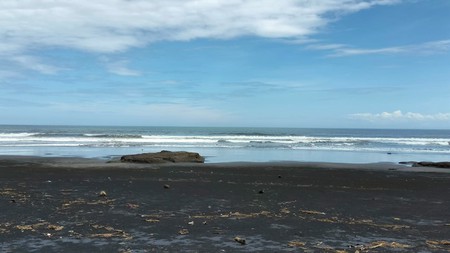 For Sale Prime Beachfront Land in Soka Beach, Antap - Tabanan