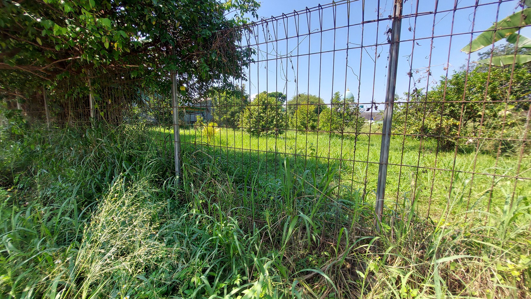 Kavling / Tanah 1.000 meter di daerah Sentul Jawa Barat