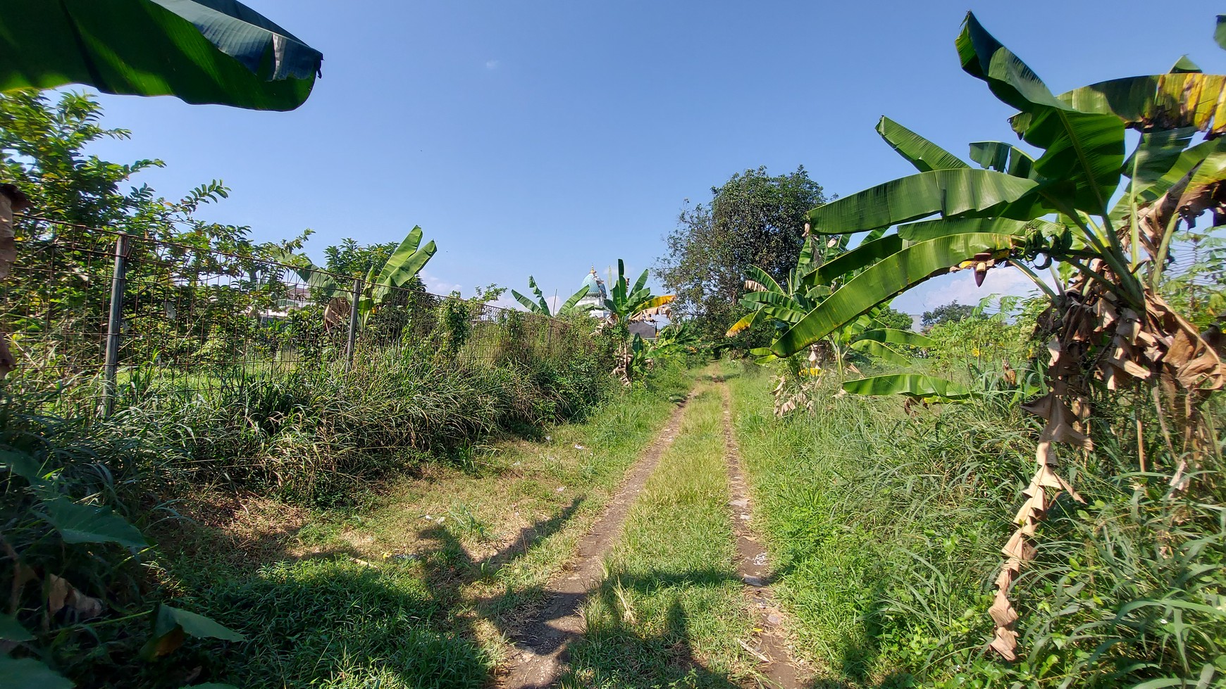 Kavling / Tanah 1.000 meter di daerah Sentul Jawa Barat