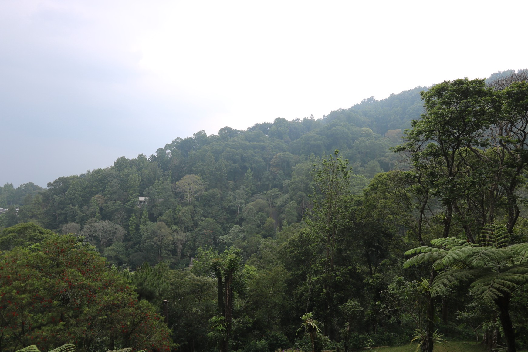 TANAH KAVLING, VIEW TERBAIK DI VILLA MEGA INDAH, MEGA MENDUNG, PUNCAK