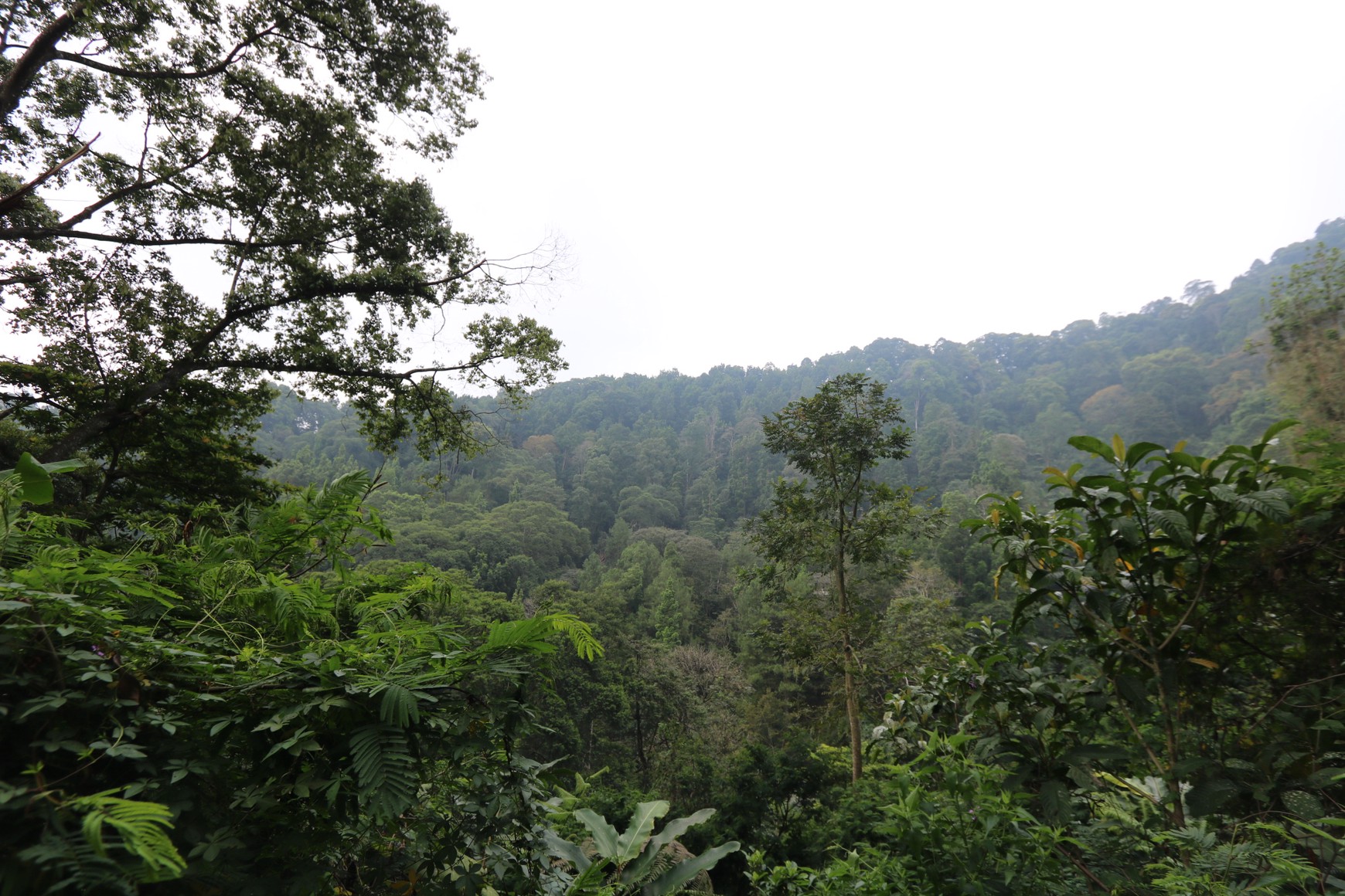 TANAH KAVLING, VIEW TERBAIK DI VILLA MEGA INDAH, MEGA MENDUNG, PUNCAK