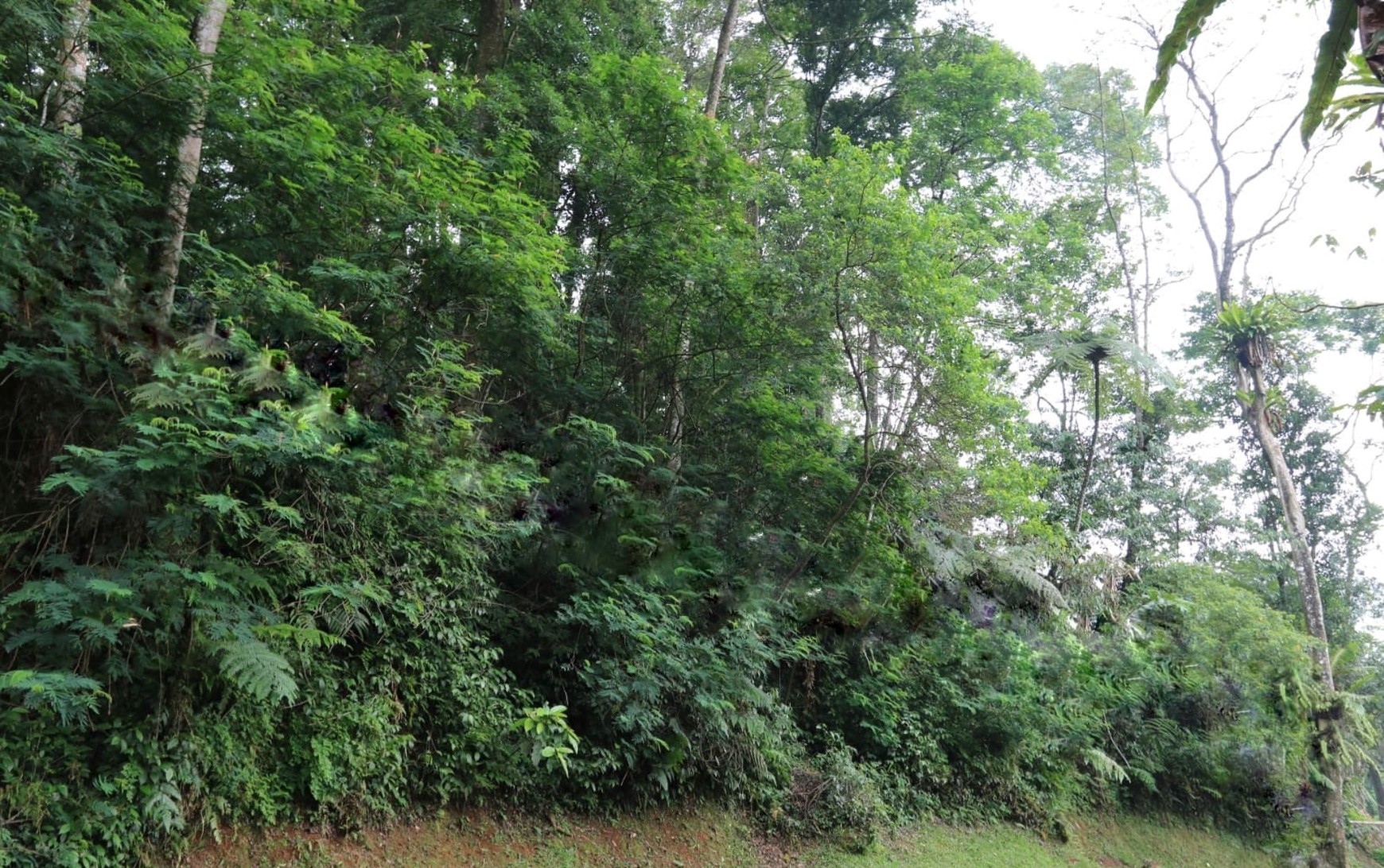 TANAH KAVLING, VIEW TERBAIK DI VILLA MEGA INDAH, MEGA MENDUNG, PUNCAK