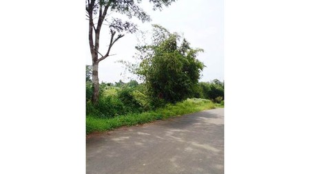 Kavling Sukahati, Hambalang, Citereup