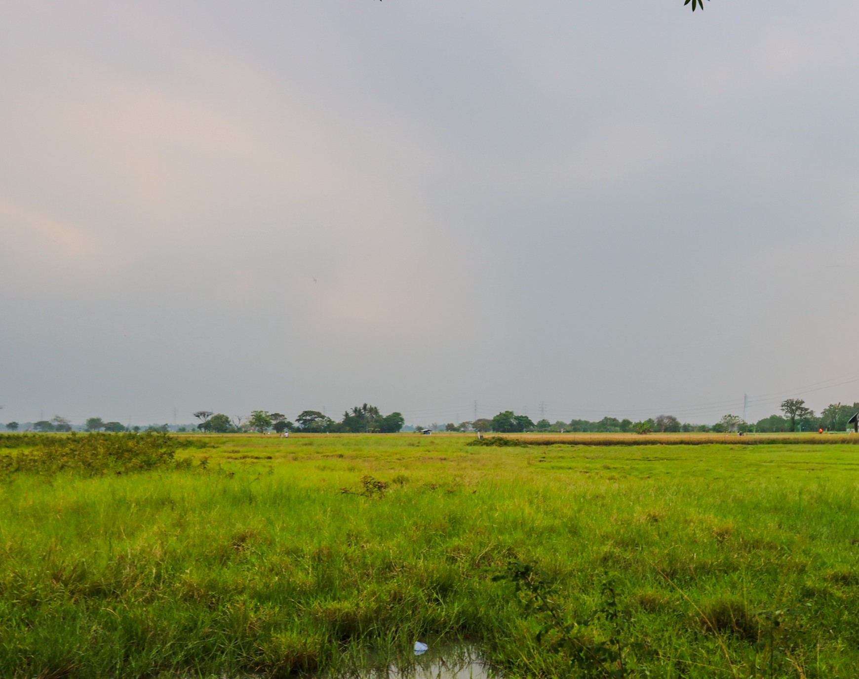 TANAH KAVLING DI GUNUNG SARI MAUK, TANGERANG, COCOK UNTUK CLUSTER, GUDANG