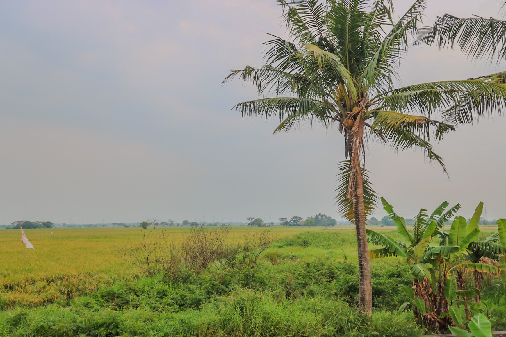 TANAH KAVLING DI GUNUNG SARI MAUK, TANGERANG, COCOK UNTUK CLUSTER, GUDANG