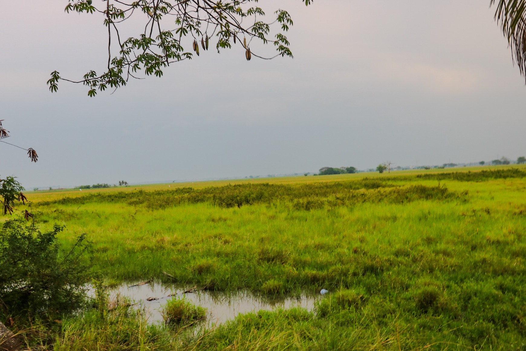 TANAH KAVLING DI GUNUNG SARI MAUK, TANGERANG, COCOK UNTUK CLUSTER, GUDANG