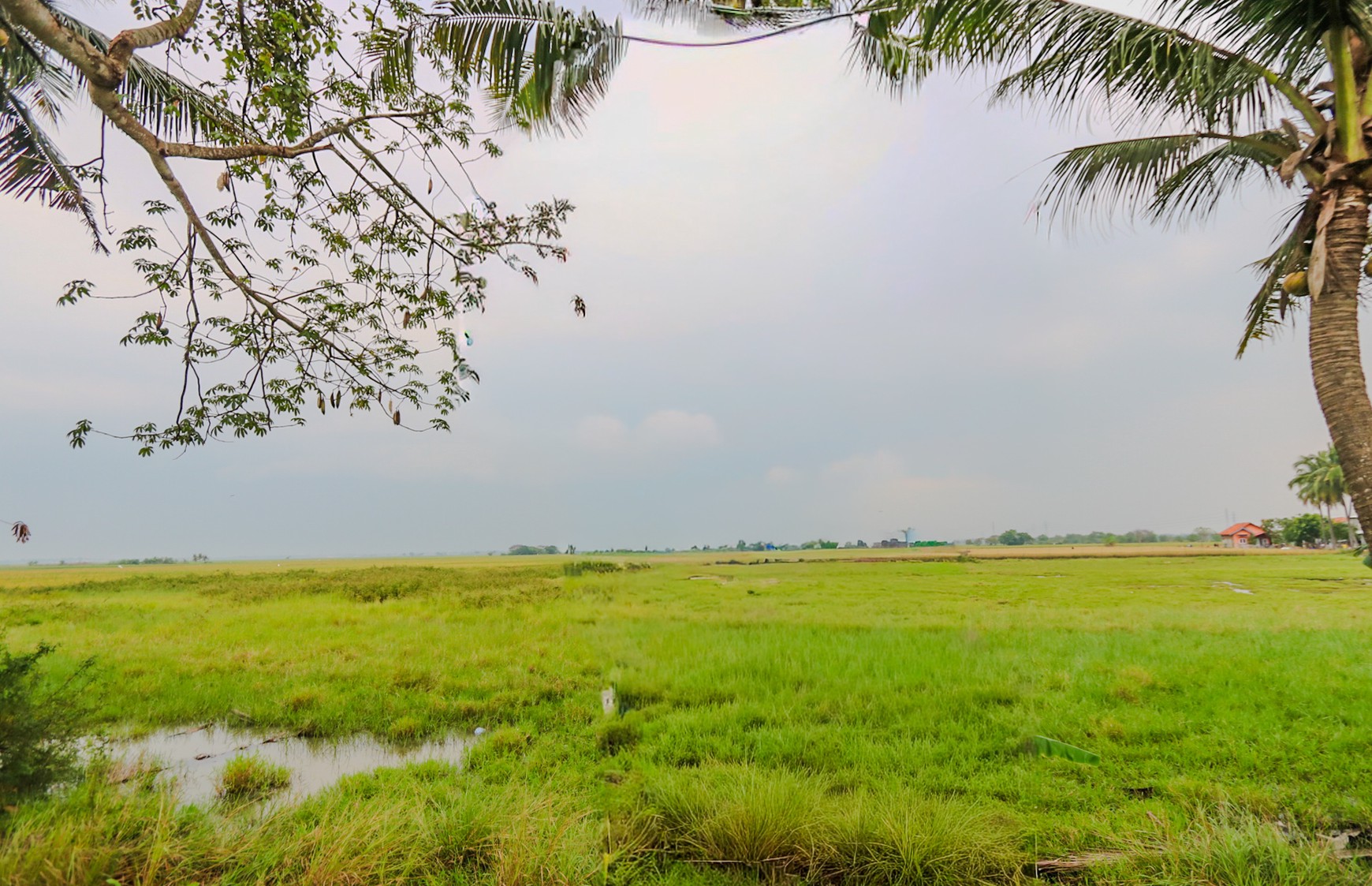 TANAH KAVLING DI GUNUNG SARI MAUK, TANGERANG, COCOK UNTUK CLUSTER, GUDANG