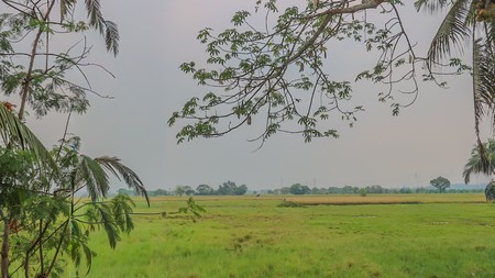 TANAH KAVLING DI GUNUNG SARI MAUK, TANGERANG, COCOK UNTUK CLUSTER, GUDANG