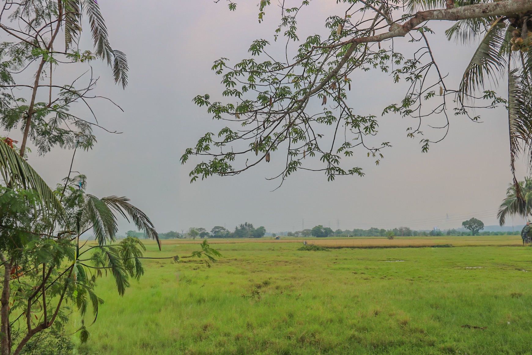 TANAH KAVLING DI GUNUNG SARI MAUK, TANGERANG, COCOK UNTUK CLUSTER, GUDANG