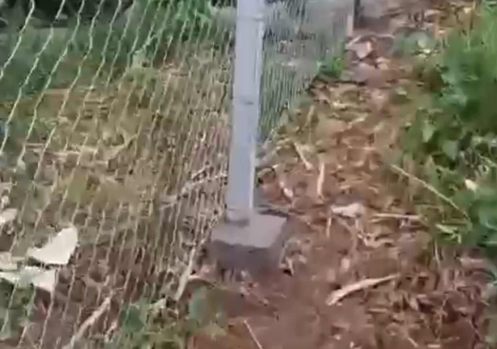 Kavling/ Tanah di Ciomas Rahayu Bogor