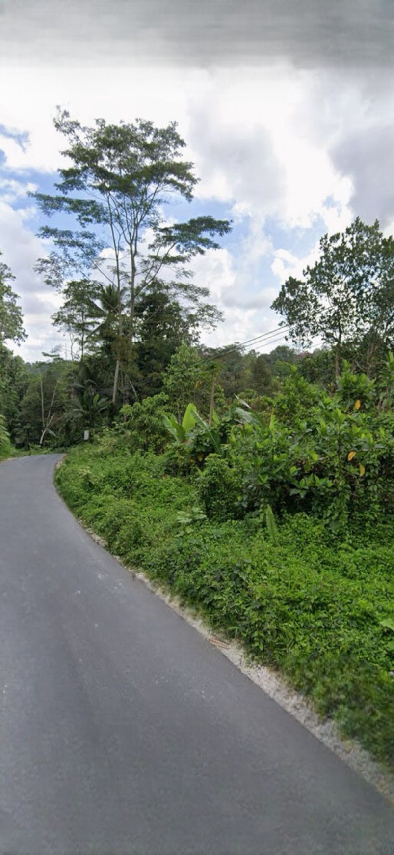 Dijual Tanah kavling dekat K Club Ubud, cocok untuk Villa