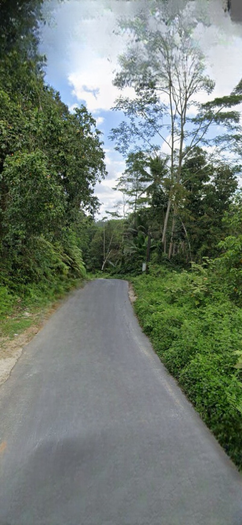 Dijual Tanah kavling dekat K Club Ubud, cocok untuk Villa