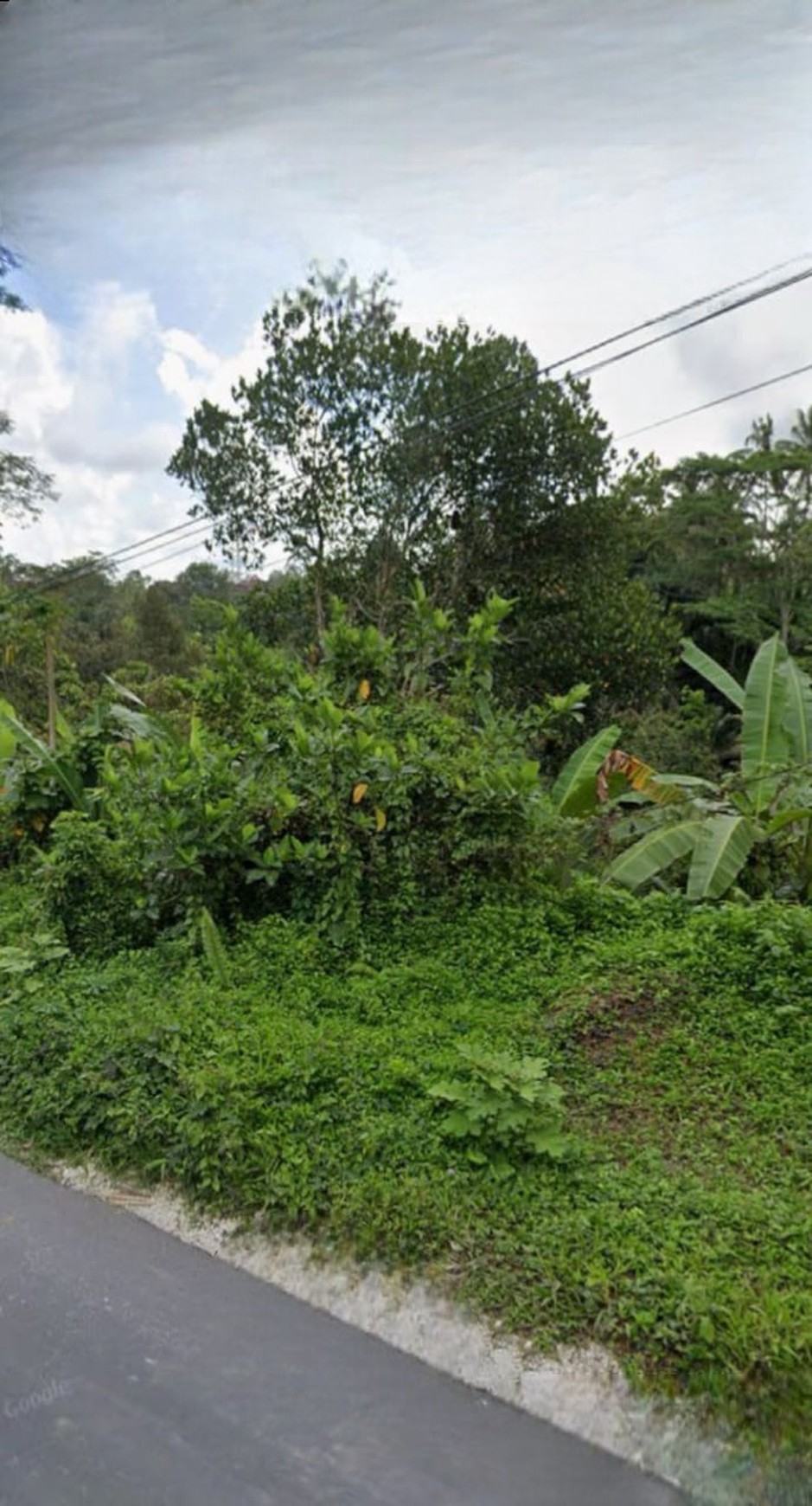 Dijual Tanah kavling dekat K Club Ubud, cocok untuk Villa