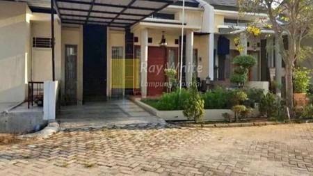 38 juta pewr tahun nego Rumah disewakan di sukarame bandar lampung area komplek cluster 