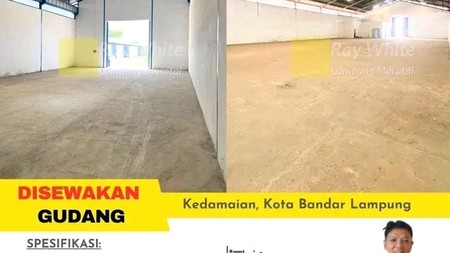 DISEWAKAN GUDANG DI KEDAMAIAN TANJUNG KARANG BANDAR LAMPUNG